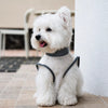 Lightweight Sleeveless Dog Vest