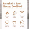 Ceramic Angled Elevated Pet Bowl