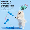 Squeaky Dog Tug Toy with Knotted Rope