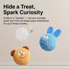 Squeaky Dog Ball Toy