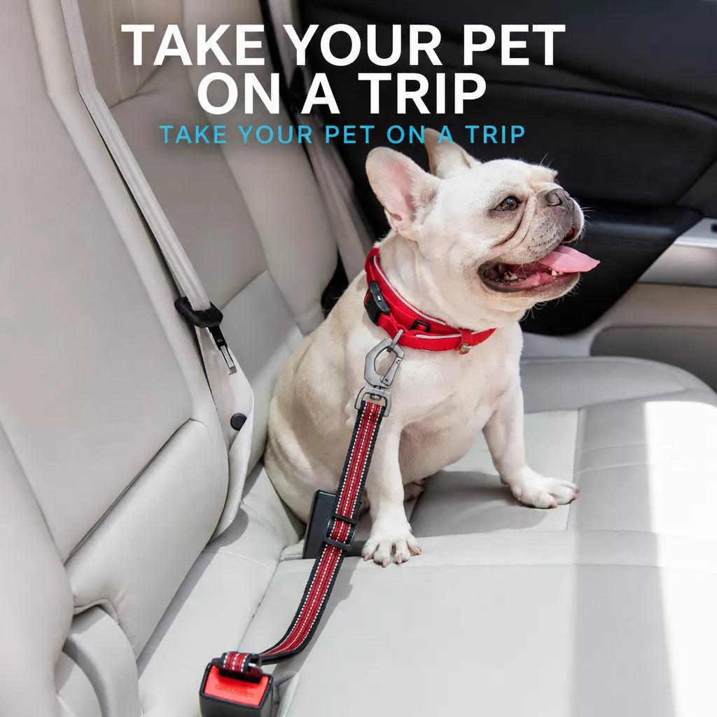 Pet Car Seat Belt Leash for Dogs p-05413