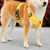 Vest-Style Dog Harness