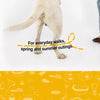 Nylon Dog Harness with Leash