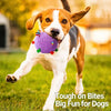 Soft Squeaky Ball Dog Toy