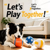 Vinyl Squeaky Dog Ball Toys for Small and Medium Dogs