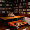 Elevated Pet Bed for Small to Medium Dogs and Cats