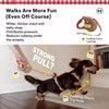 Polyester Harness for Small Dogs