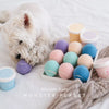 Ice Cream Tennis Ball Dog Toy