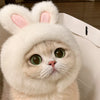 Playful Pet Costume Hats for Cats & Dogs