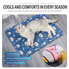 All-Season Plastic Crate Mat for Dogs and Cats