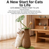 Lotus Cat Scratching Post