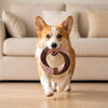 Knotted Rope Tug Toy for Dogs and Cats