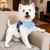 Nylon Dog Vest Harness for Small to Medium Dogs