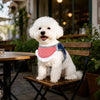 Nylon Dog Vest Harness for Small to Medium Dogs