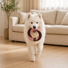 Knotted Rope Tug Toy for Dogs and Cats
