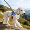 Nylon Dog Vest Harness for Small to Medium Dogs
