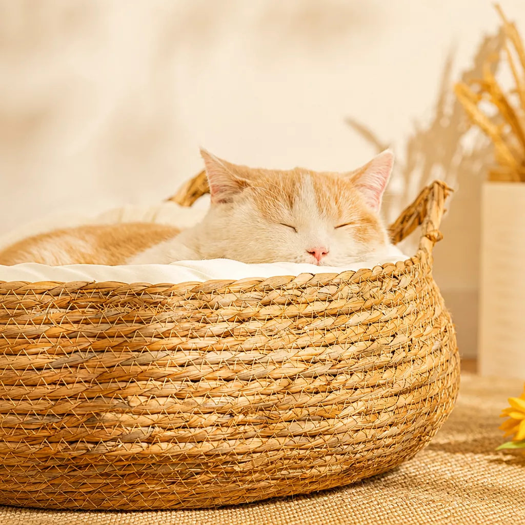 Woven Cat-Ear Pet Bed for Cats and Small Dogs