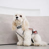 Lightweight Sleeveless Dog Vest