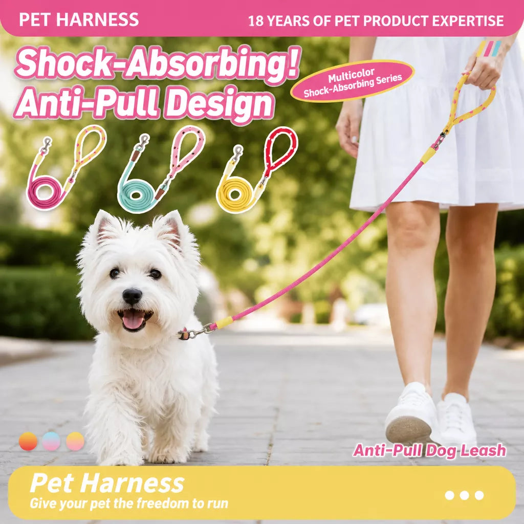 Dog Leash for Everyday Walks