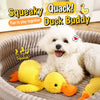 Plush Squeaky Dog Toys