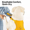 Nylon Dog Harness with Leash