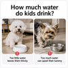 Floating Pet Water Bowl for Dogs & Cats