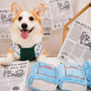 Crinkle Paper Dog Toy – Newspaper & Playing Card Styles