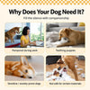 Vinyl Squeaky Dog Ball Toys for Small and Medium Dogs