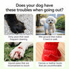 Breathable Soft-Sole Dog Shoes for Small Dogs, Outdoor Wear