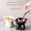 Ceramic Angled Elevated Pet Bowl