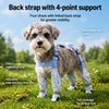 Dog Rain Suit with Covered Legs and Reinforced Paw Panels