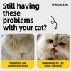 Undercoat Comb for Cats and Dogs – Long-Hair Detangling Tool