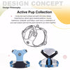 Dog Vest Harness with Leash