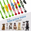 Interactive Dog Tug Toy