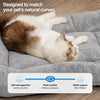 Cozy Winter Bed for Dogs and Cats