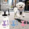 Small Dog Harness and Leash Set
