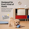 Squeaky Dog Ball Toy
