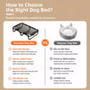 Foldable Elevated Pet Cot Bed with Breathable Mesh