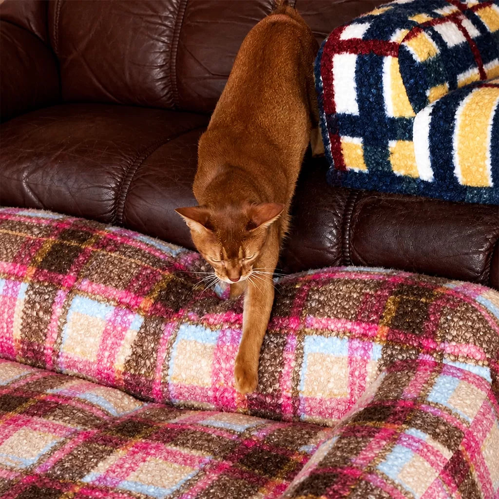 Vintage Plush Pet Sofa Bed for Dogs & Cats