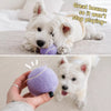 Ice Cream Tennis Ball Dog Toy