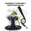 Small Dog Harness and Leash Set