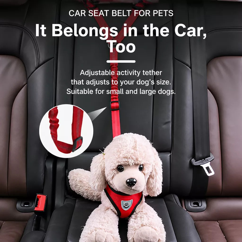 Pet Car Restraint Belt with Headrest Strap p-05439