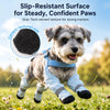 Dog Rain Suit with Covered Legs and Reinforced Paw Panels