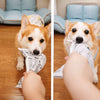 Crinkle Paper Dog Toy – Newspaper & Playing Card Styles