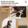 Polyester Harness for Small Dogs