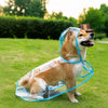 Transparent Waterproof Dog Raincoat