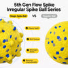 Durable Dog Ball Toy for Chewing and Interactive Play