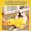 Plush Squeaky Dog Toys
