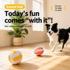 Vinyl Squeaky Dog Ball Toys for Small and Medium Dogs