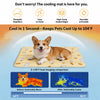 PVC Pet Rest Mat
